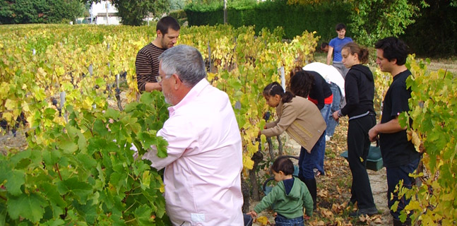 vin bordeaux chateau escart